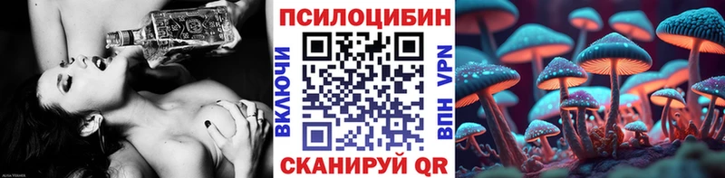 как найти наркотики Новочеркасск Псилоцибиновые грибы мицелий