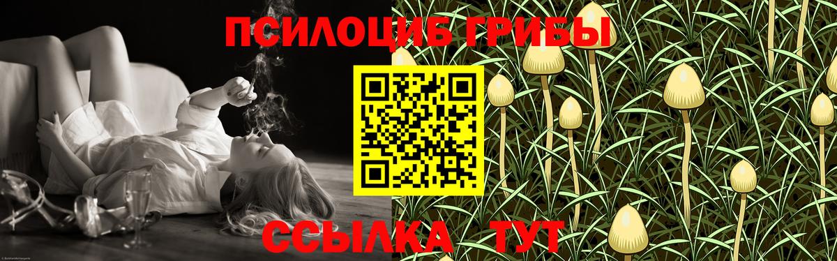 Новочеркасск  Галлюциногенные грибы Psilocybe  Вход с VPN 